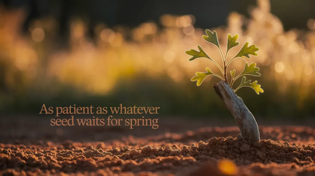 As patient as whatever seed waits for spring