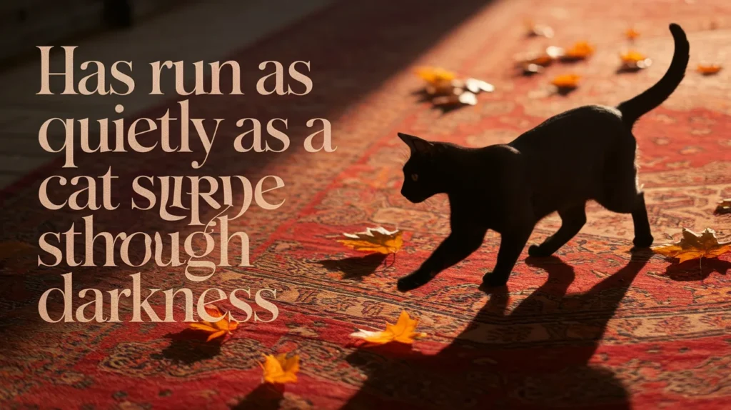 Has run as quietly as a cat slipping through darkness