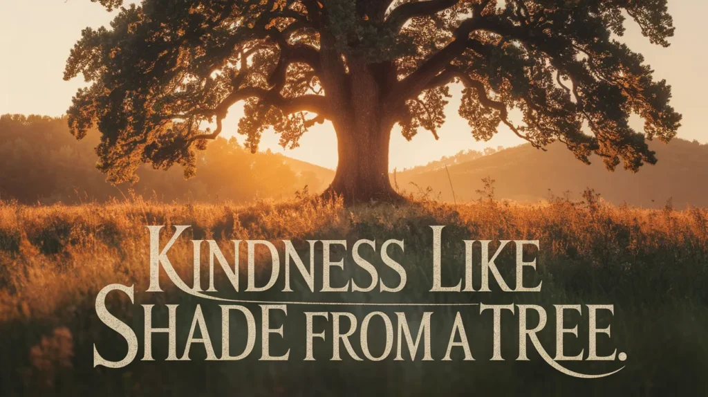 Kindness like shade from a tree