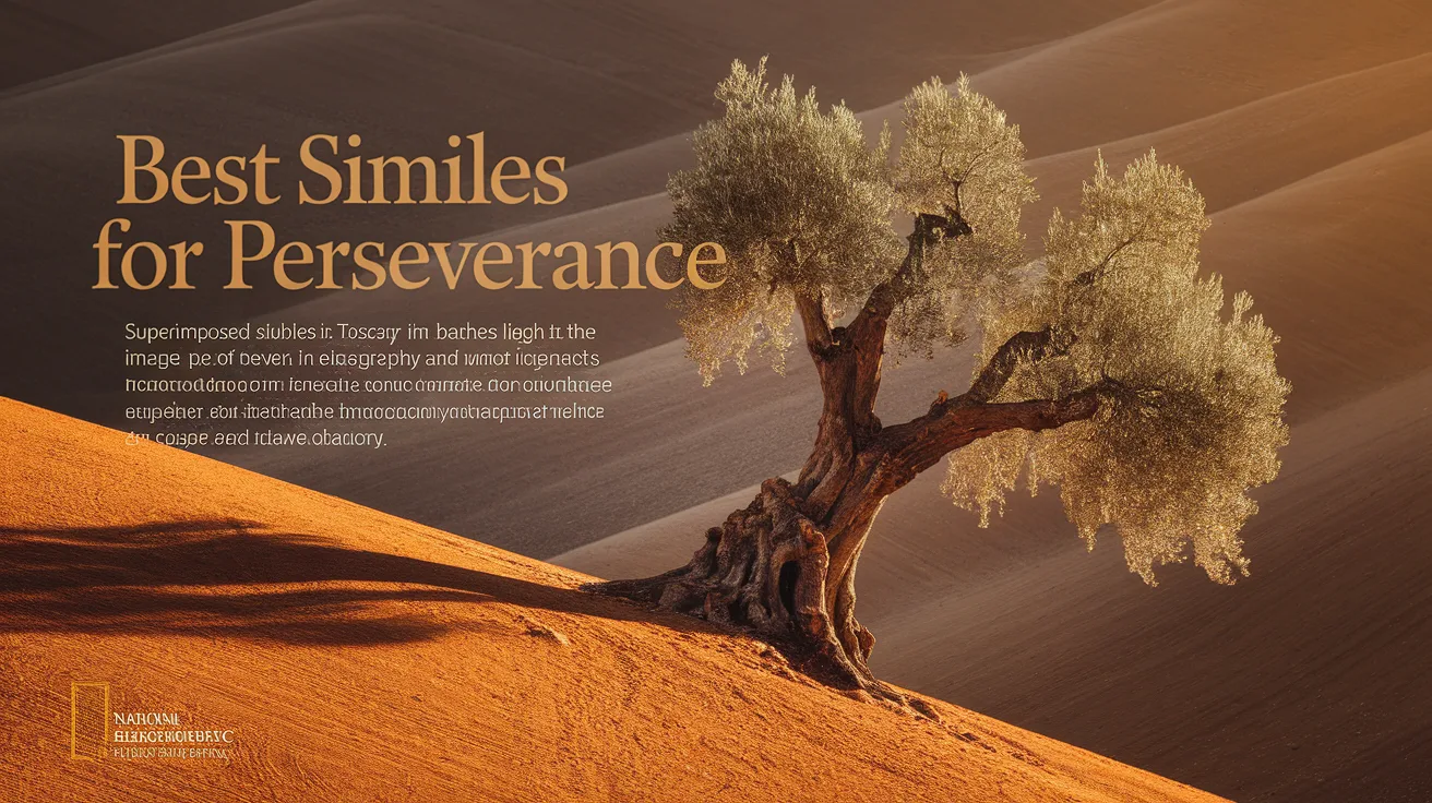 Best Similes for Perseverance