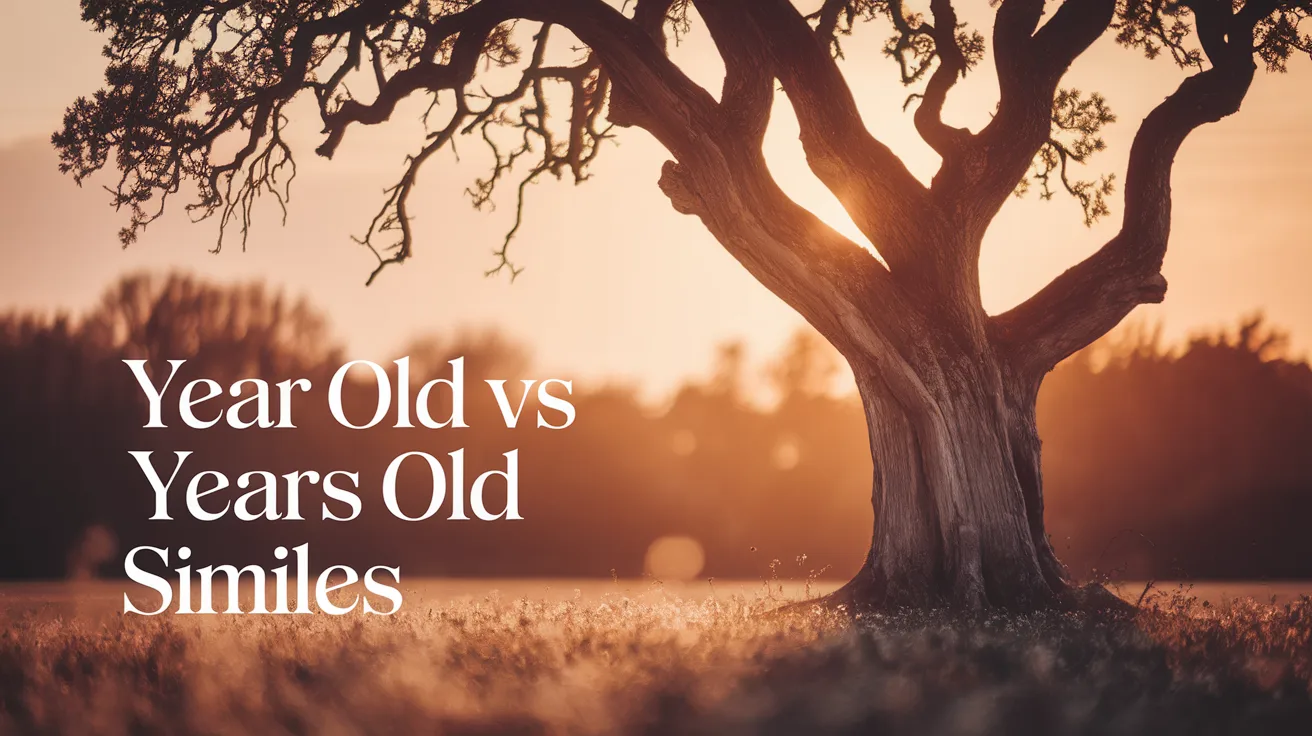 Year Old vs Years Old Similes