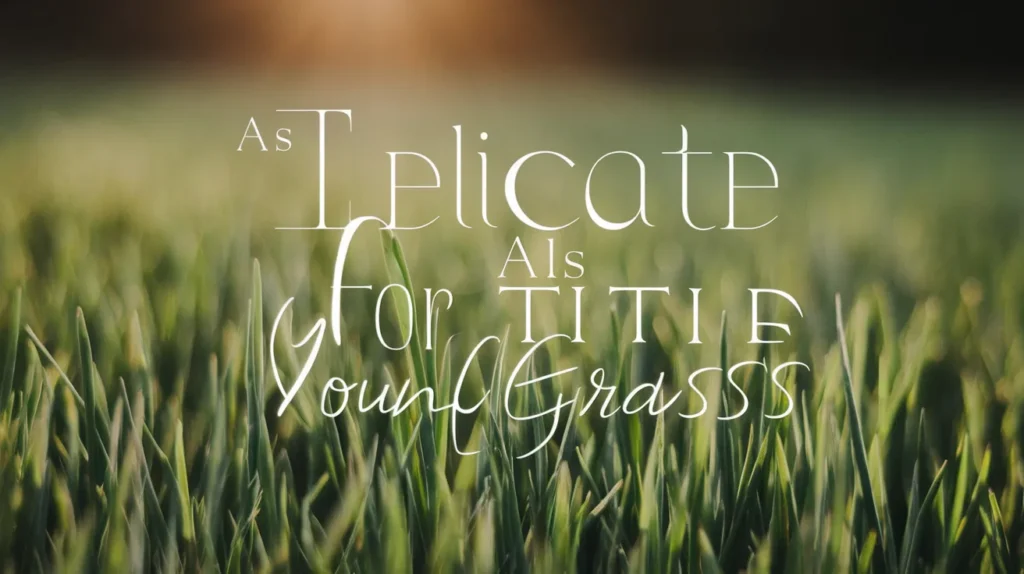 As delicate as young grass