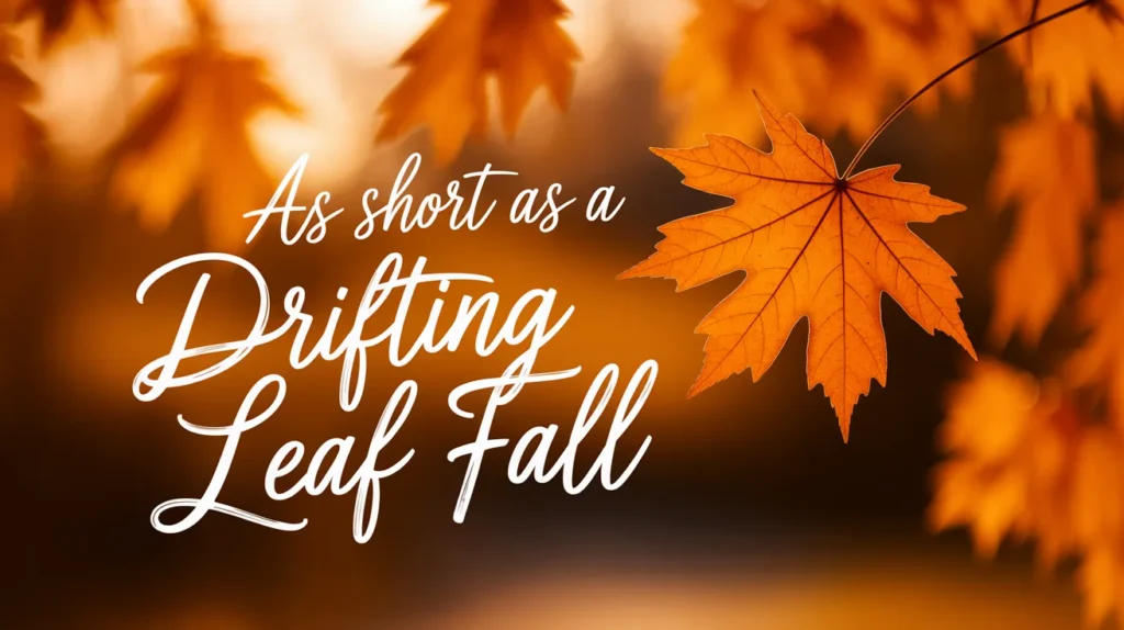 As short as a drifting leaf fall