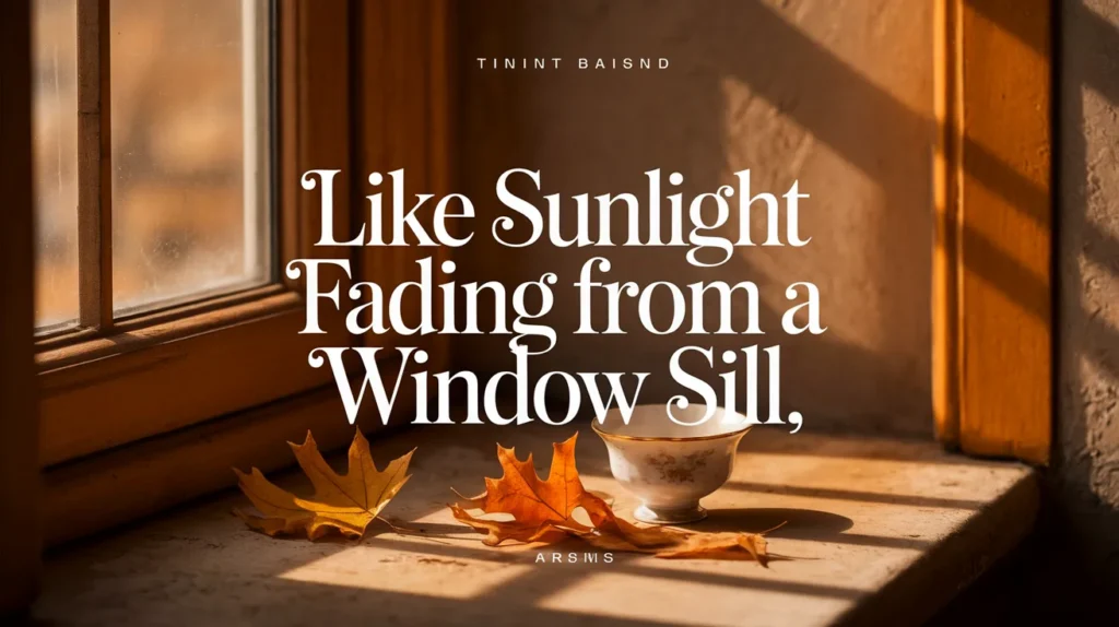 Like sunlight fading from a window sill