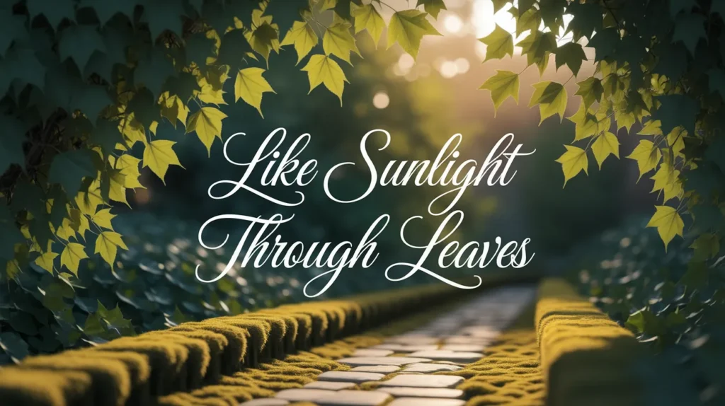 Like sunlight through leaves