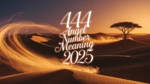 444 Angel Number Meaning 2025