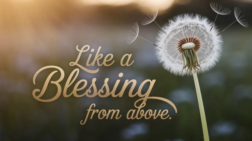  Like a blessing from above