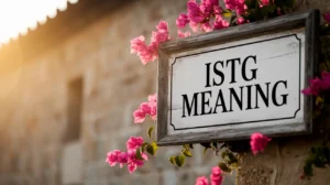 ISTG Meaning