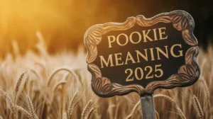 Pookie Meaning 2025