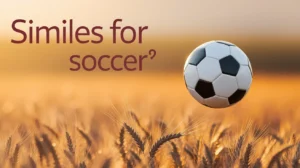 Similes for Soccer